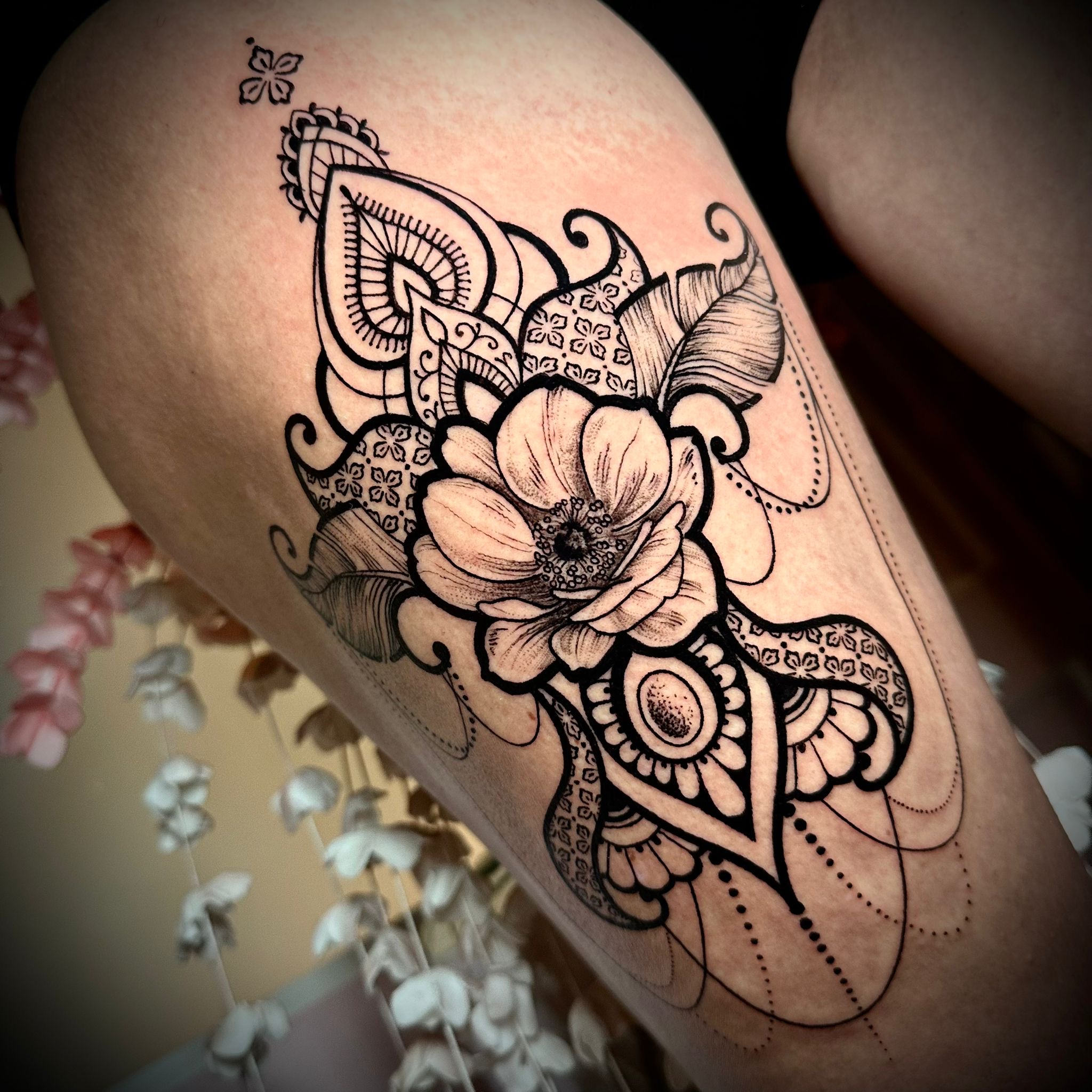 Photo 29-08-2025 09 00 11 (1).jpg