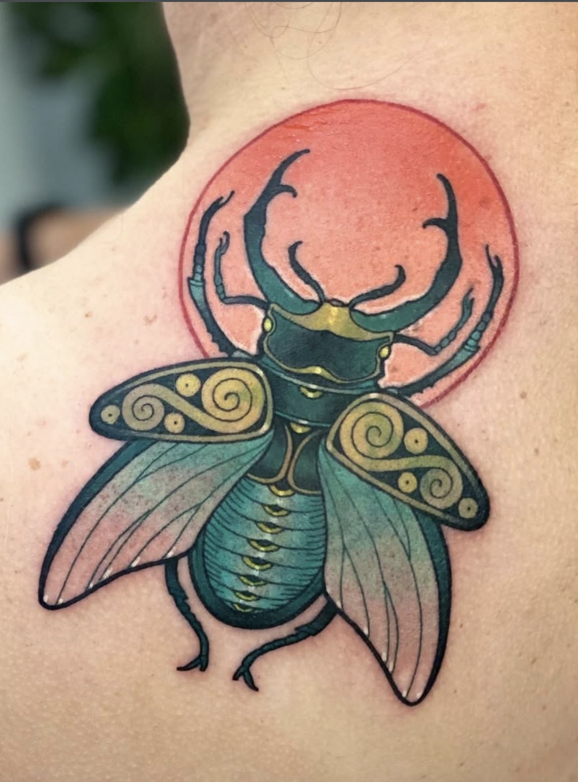 Photo 13-02-2026 15 24 56.jpg